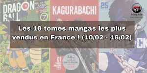 Ventes mangas France
