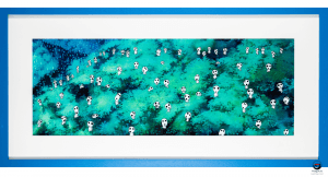 Catawiki Princess Mononoke