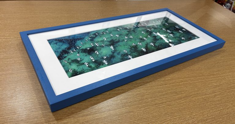 Original cels and drawings of Kodama Tree Spirit 3