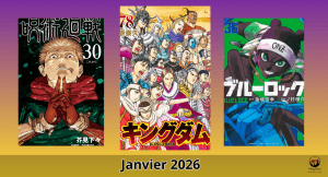 ventes jp janvier 2026