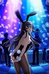 Animé – Seishun Buta Yarou wa Bunny Girl Senpai no Yume wo Minai