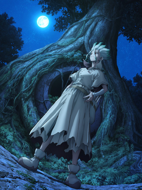 Animé – Dr. STONE: NEW WORLD